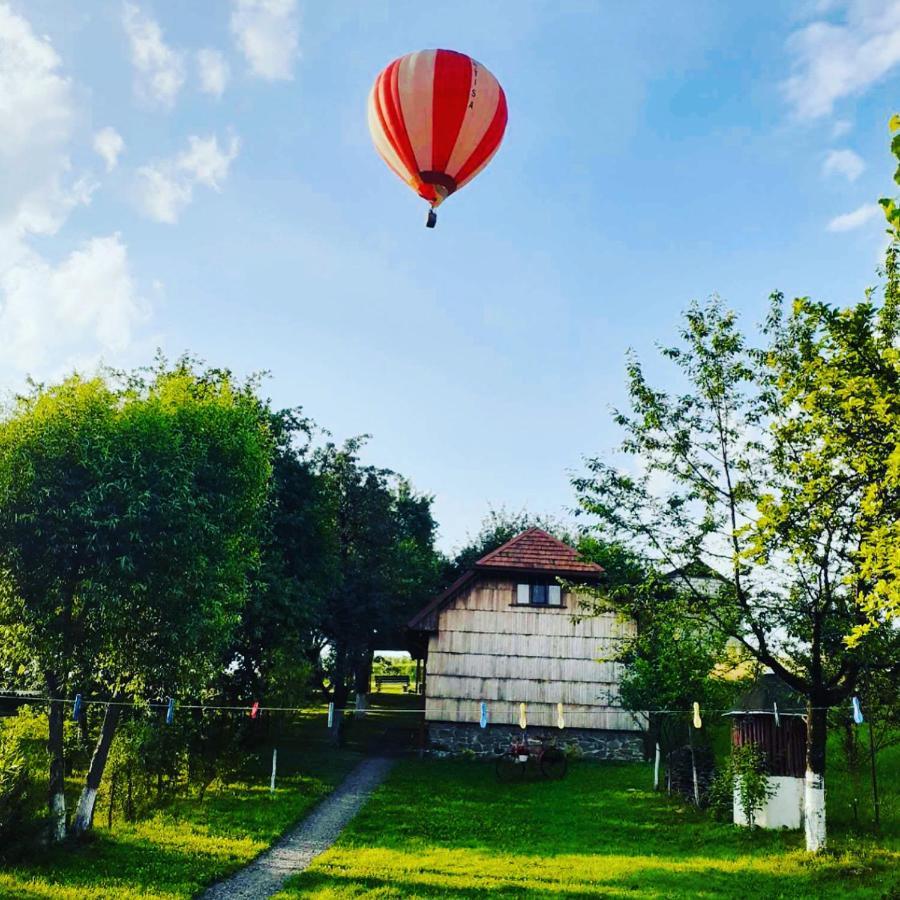 Villa Еко Дім З Соломи Solochyn Exterior foto