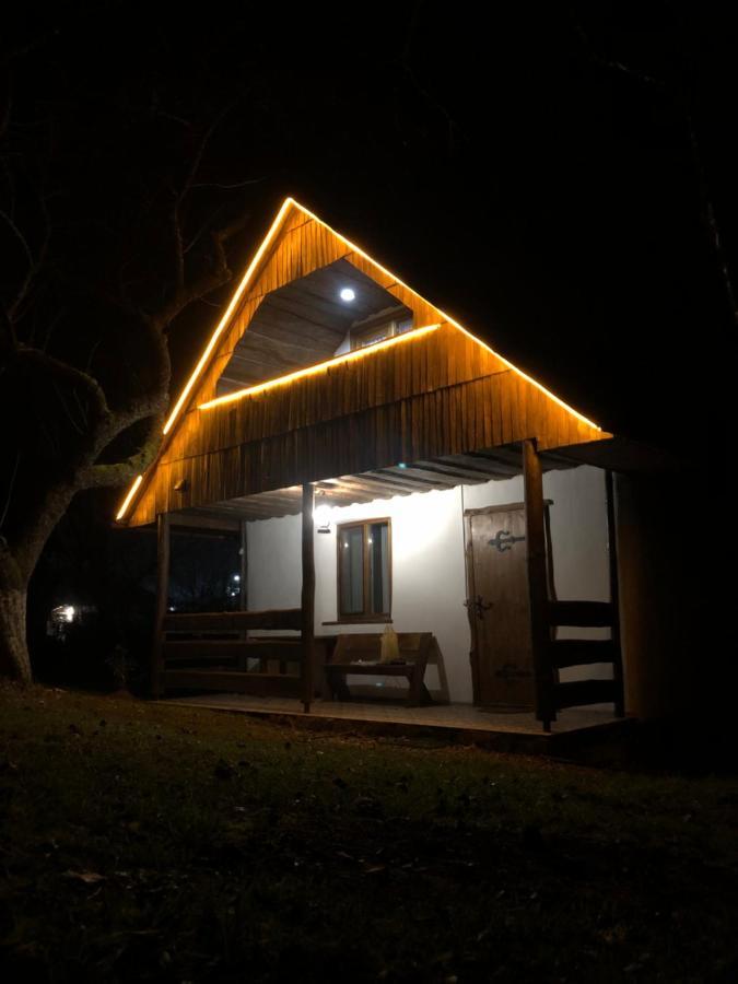 Villa Еко Дім З Соломи Solochyn Exterior foto