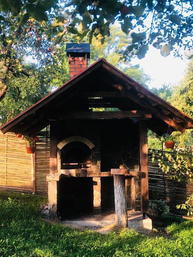 Villa Еко Дім З Соломи Solochyn Exterior foto