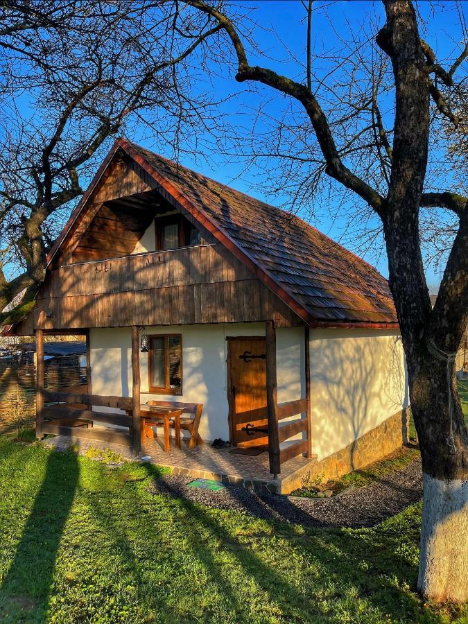 Villa Еко Дім З Соломи Solochyn Exterior foto