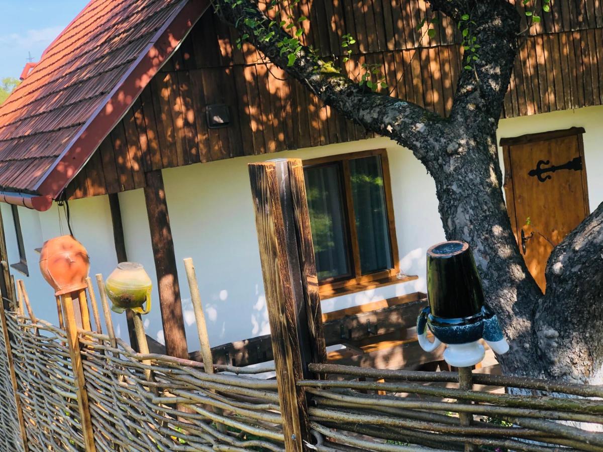 Villa Еко Дім З Соломи Solochyn Exterior foto