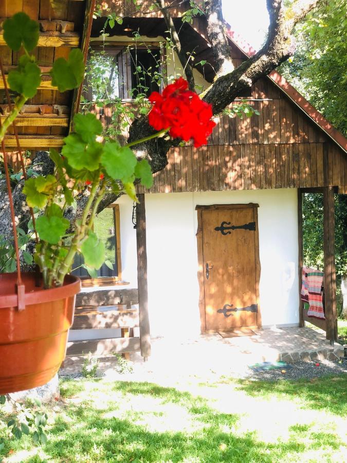 Villa Еко Дім З Соломи Solochyn Exterior foto