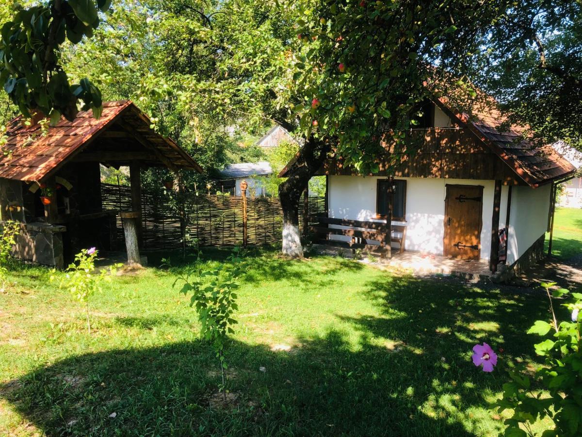 Villa Еко Дім З Соломи Solochyn Exterior foto