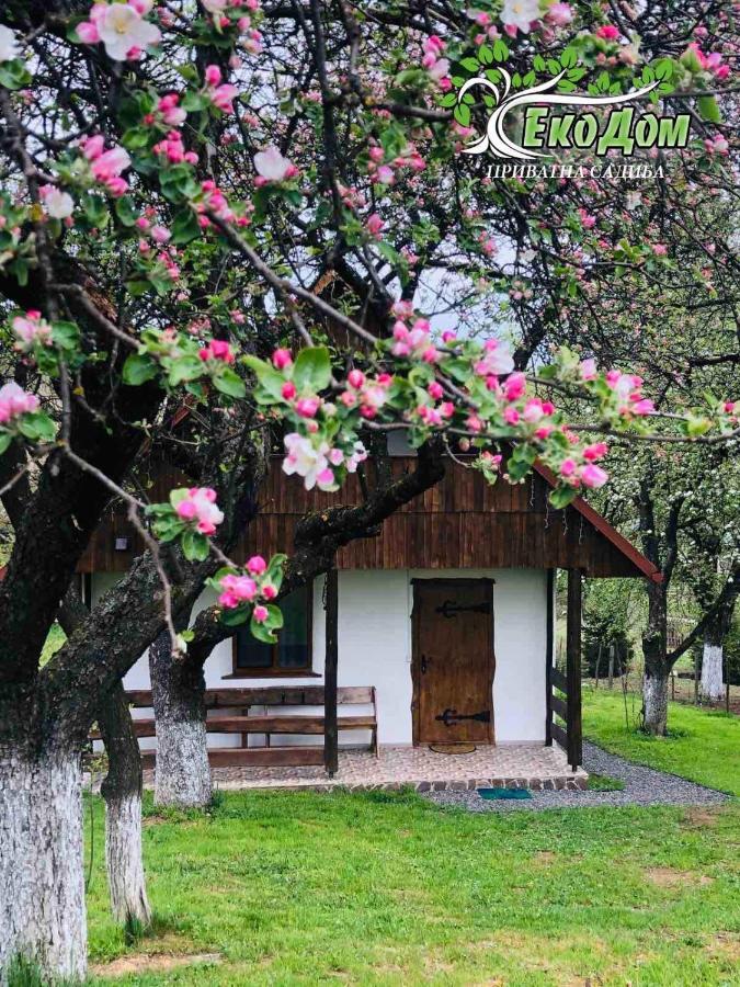 Villa Еко Дім З Соломи Solochyn Exterior foto