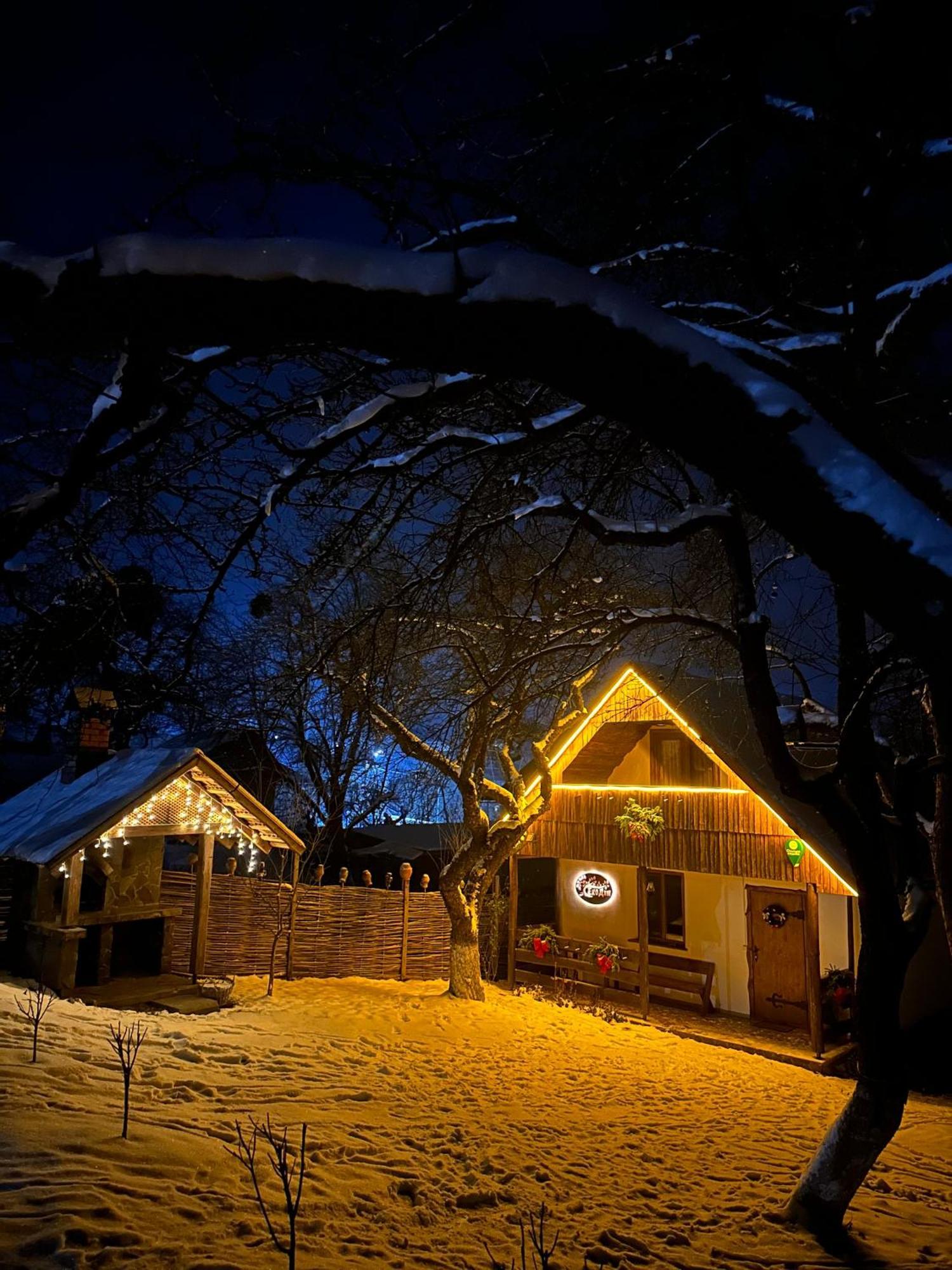Villa Еко Дім З Соломи Solochyn Exterior foto
