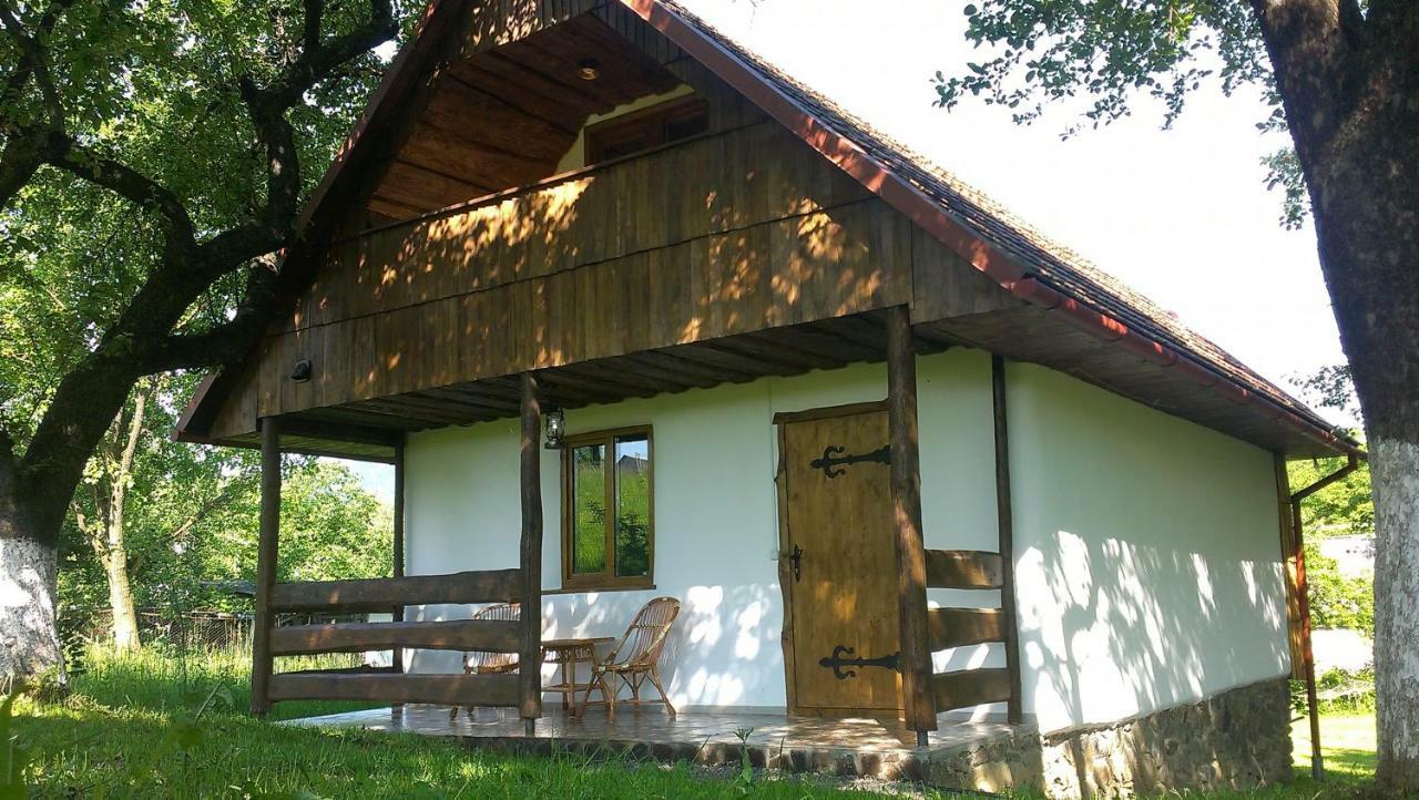 Villa Еко Дім З Соломи Solochyn Exterior foto