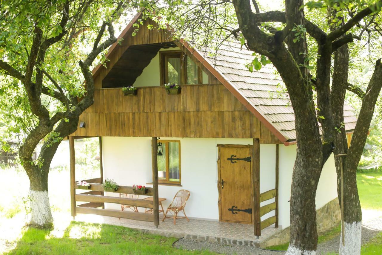 Villa Еко Дім З Соломи Solochyn Exterior foto