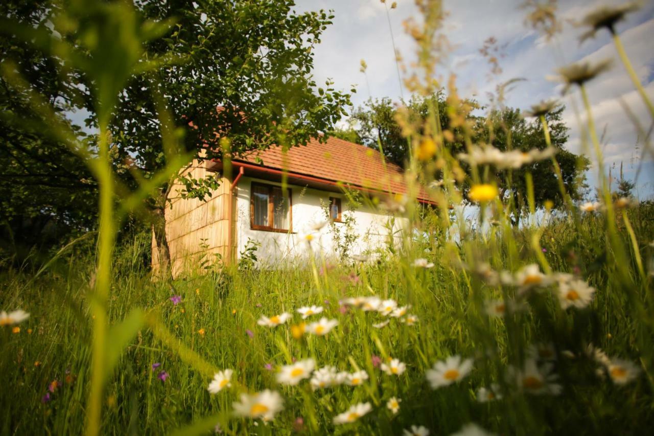 Villa Еко Дім З Соломи Solochyn Exterior foto