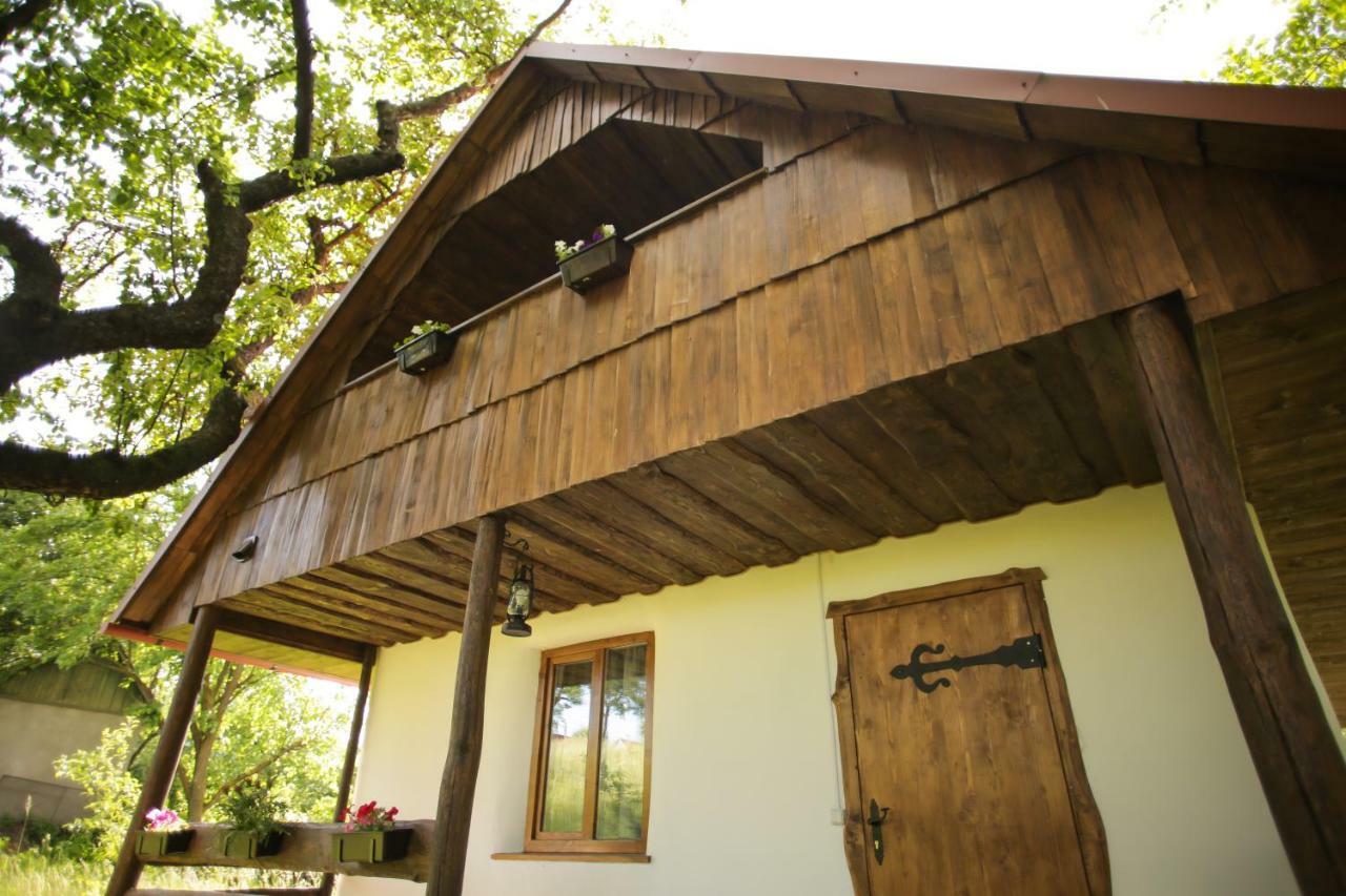 Villa Еко Дім З Соломи Solochyn Exterior foto
