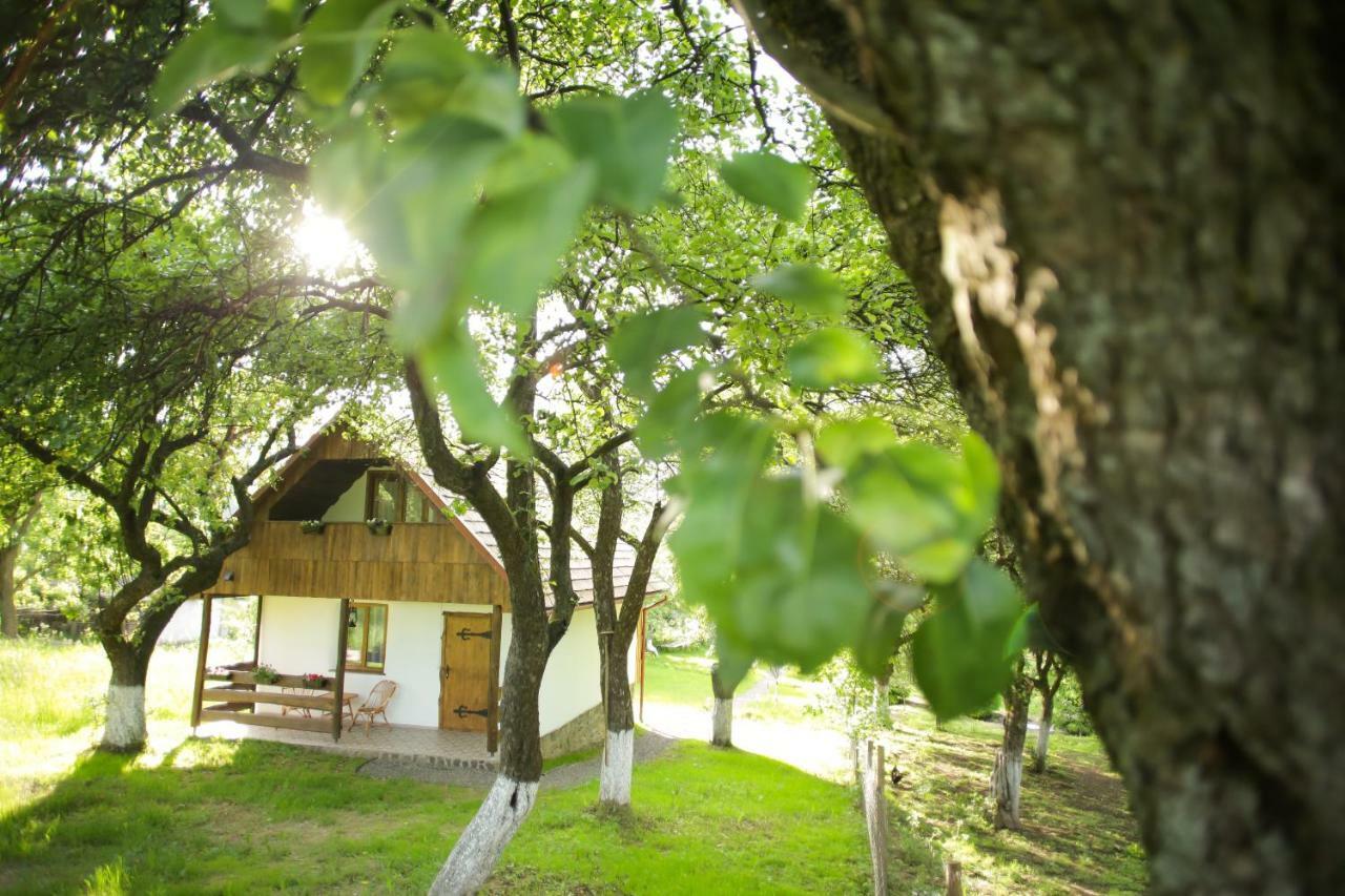 Villa Еко Дім З Соломи Solochyn Exterior foto