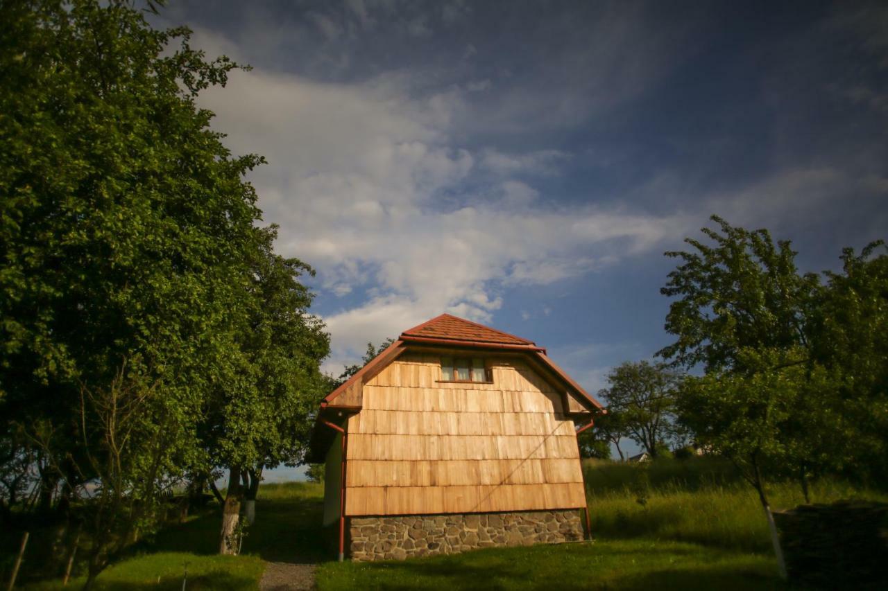 Villa Еко Дім З Соломи Solochyn Exterior foto