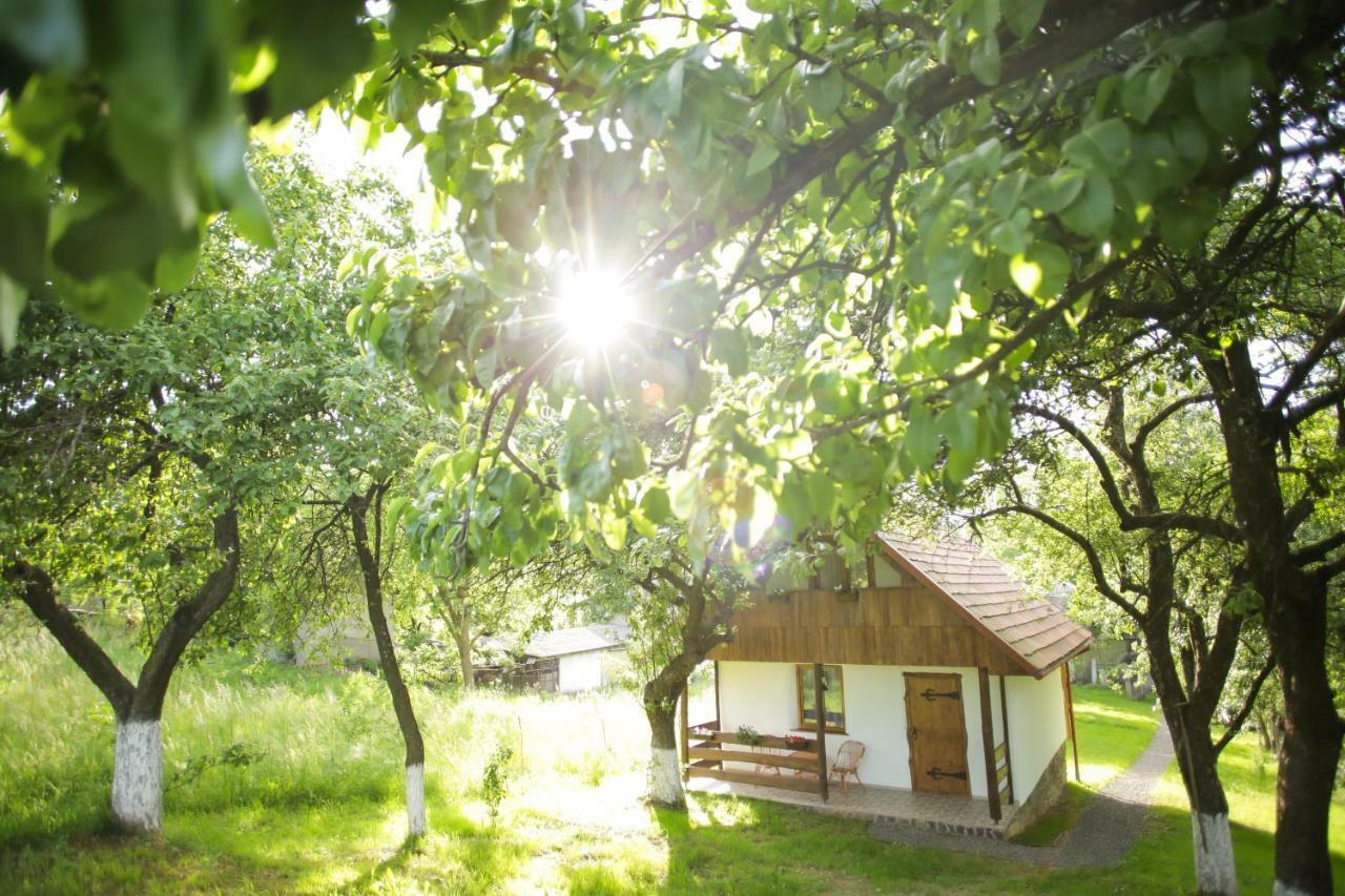 Villa Еко Дім З Соломи Solochyn Exterior foto