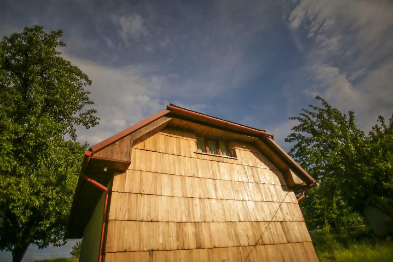 Villa Еко Дім З Соломи Solochyn Exterior foto