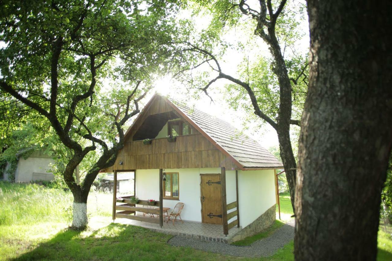 Villa Еко Дім З Соломи Solochyn Exterior foto