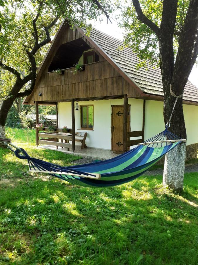 Villa Еко Дім З Соломи Solochyn Exterior foto